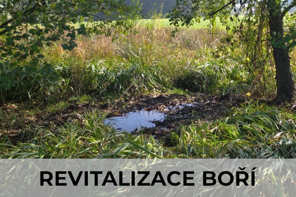 Revitalizace lokality Bo (Zub)